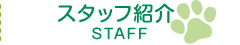 スタッフ紹介
