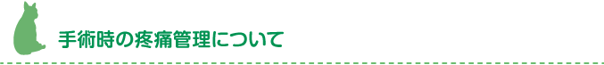 手術時の疼痛緩和について