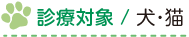 診療対象/犬・猫