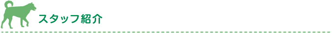 スタッフ紹介